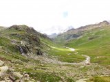 IMG_0883