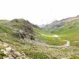 IMG_0884
