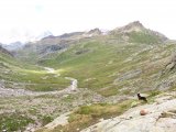 IMG_0890