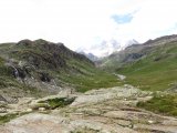 IMG_0920