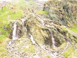 IMG_0930