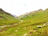 IMG_0935