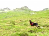 IMG_0940