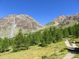 img_0012