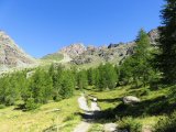 img_0013