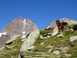 img_0079