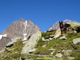 img_0081