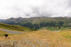 img_0040