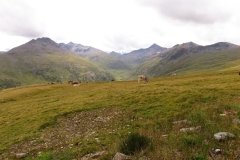 img_0101