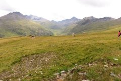 img_0105