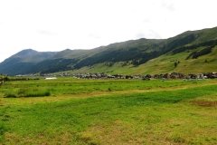IMG_0247