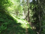 IMG_0046