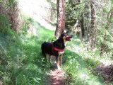 IMG_0050