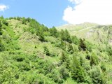 IMG_0054