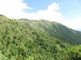 IMG_0055