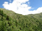 IMG_0058