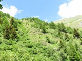 IMG_0059