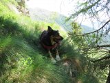 IMG_0076