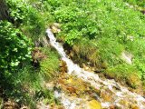 IMG_0096