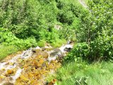 IMG_0099