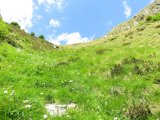 IMG_0114