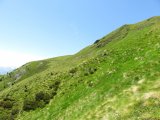 IMG_0118
