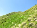 IMG_0120