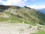 IMG_0141