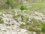IMG_0170