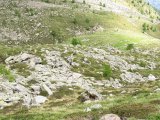 IMG_0172
