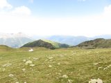 IMG_0193