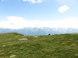 IMG_0205