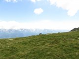IMG_0207