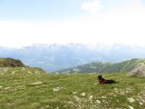 IMG_0211