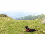 IMG_0216