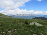 IMG_0219
