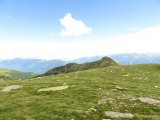 IMG_0244