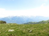 IMG_0245