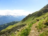 IMG_0302