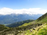 IMG_0304