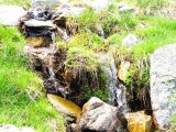 IMG_0316