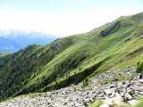 IMG_0328