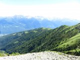 IMG_0330