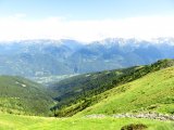 IMG_0335