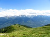 IMG_0341