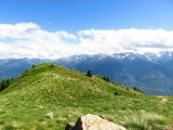IMG_0344
