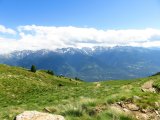 IMG_0346