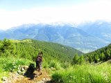 IMG_0351