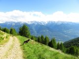 IMG_0355