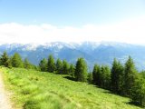 IMG_0359